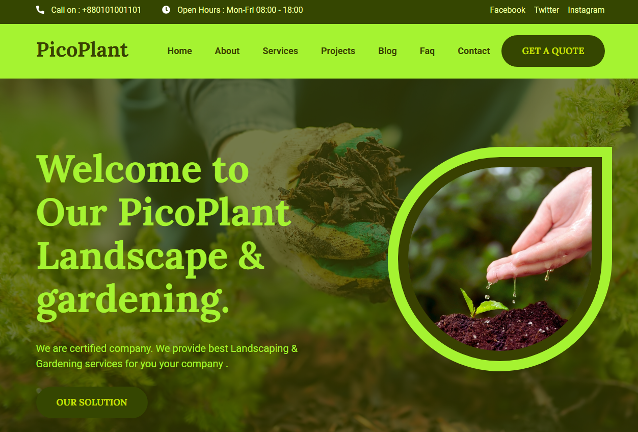 Pico Plant